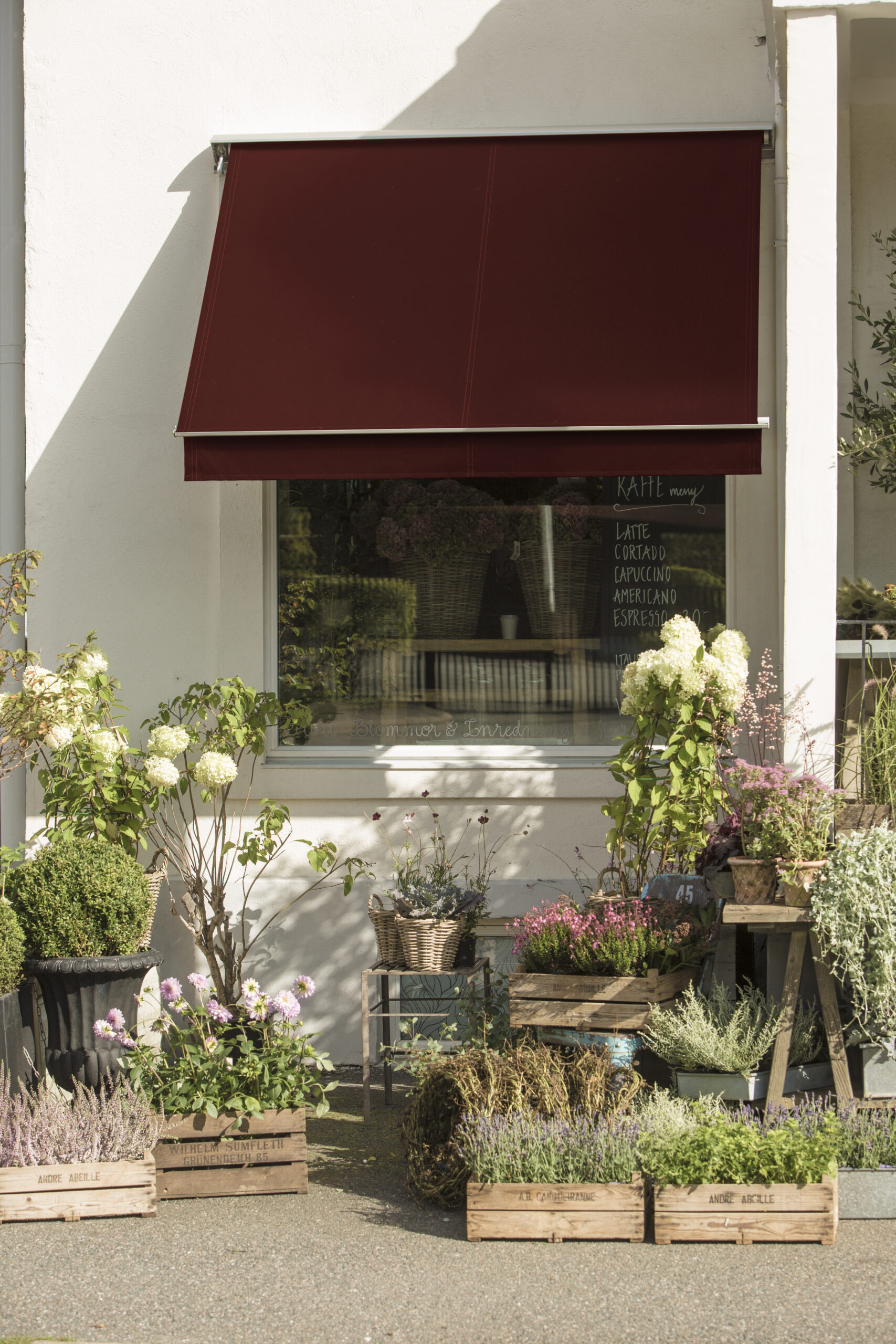 407_373_MB_01-scaled