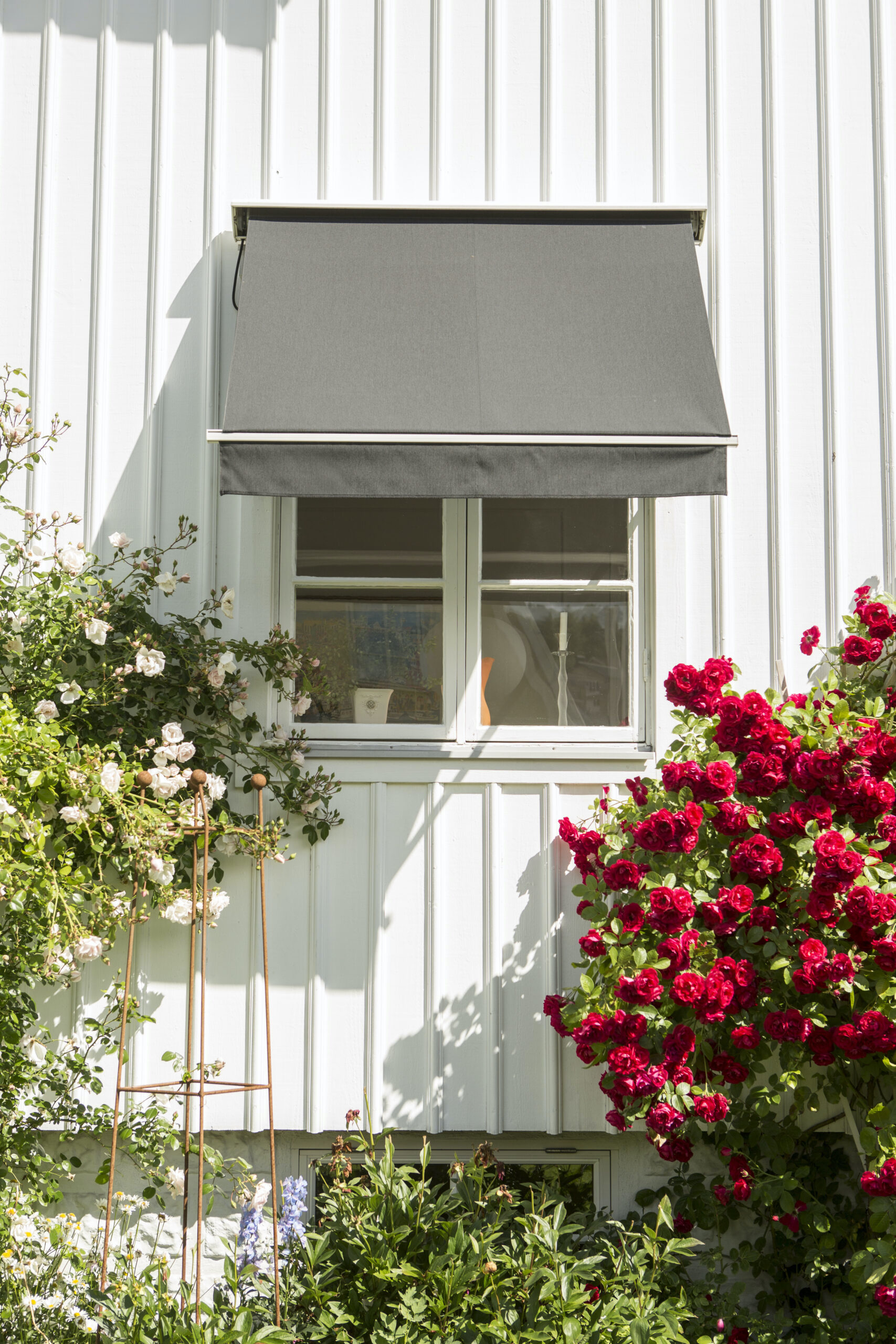 MF3A4970_mork-scaled