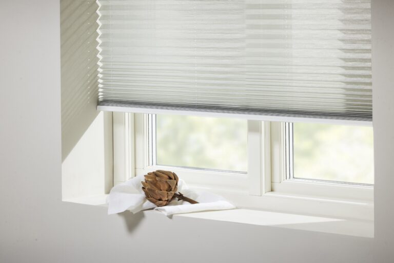 Salerno_1035_WB_01-scaled (1)